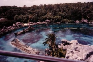 A shot of the 20,000 Leagues Under the Sea Attraction